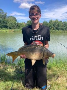Mirror Carp