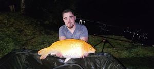 Koï Fish