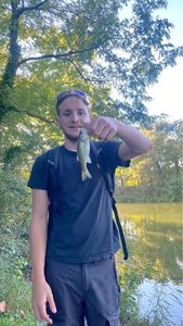 Smallmouth Bass