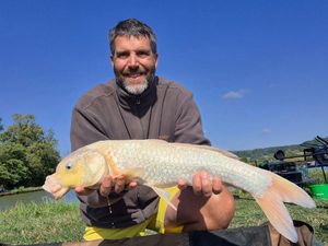 Koï Fish