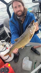 Lake Trout