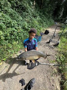 Mirror Carp