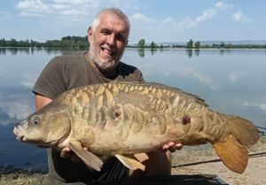 Mirror Carp