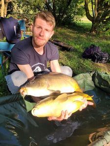 Mirror Carp