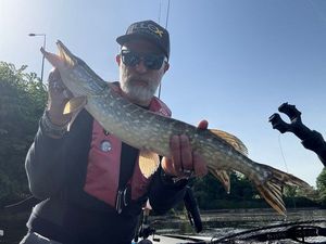 Northern Pike