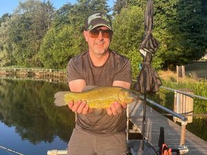 Tench