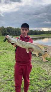 Northern Pike