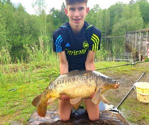 Mirror Carp