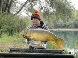 Mirror Carp