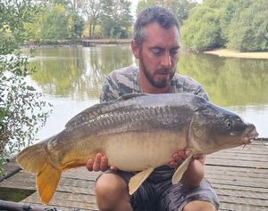 Mirror Carp