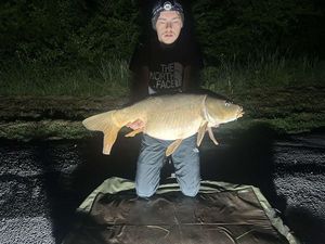 Mirror Carp