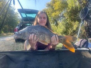 Mirror Carp