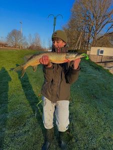 Northern Pike