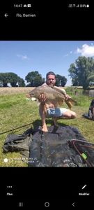 Mirror Carp