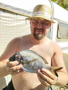 White Seabream