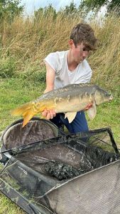 Mirror Carp