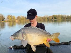 Mirror Carp