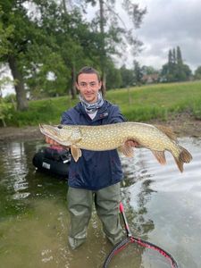 Northern Pike caught by Yann Barrier