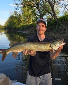 Tiger Muskellunge