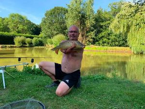 Common Carp