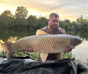Grass Carp