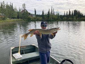 Northern Pike