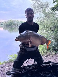 Leather Carp