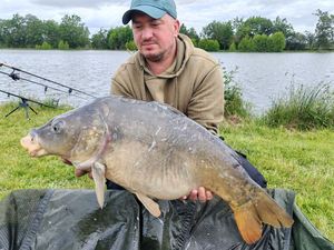 Mirror Carp