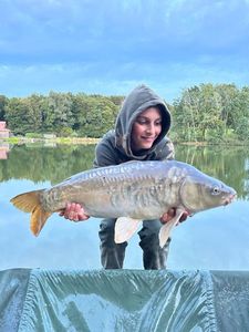 Mirror Carp