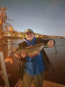 Channel Catfish
