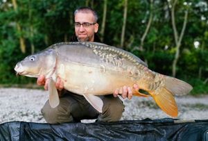 Mirror Carp