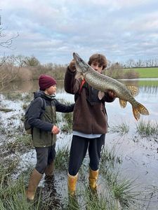 Northern Pike