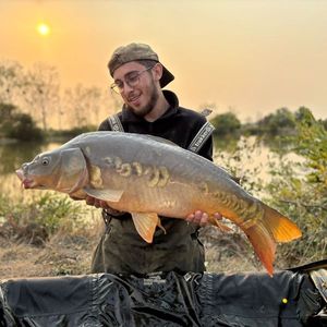 Leather Carp