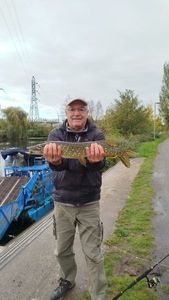 Northern Pike