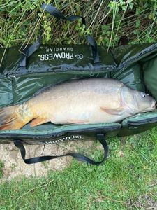 Leather Carp