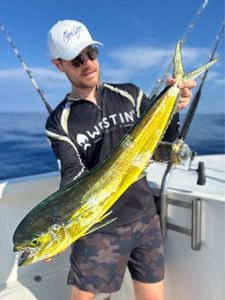 Dolphinfish