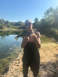 Smallmouth Bass
