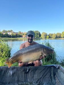 Mirror Carp