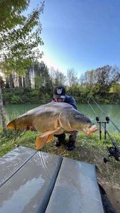 Mirror Carp