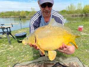Mirror Carp