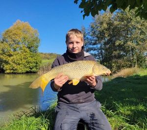 Common Carp