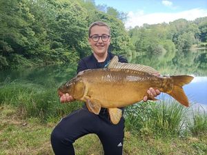 Mirror Carp