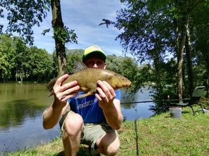 Tench