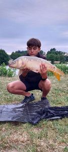 Mirror Carp