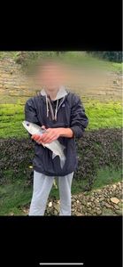 Flathead Grey Mullet
