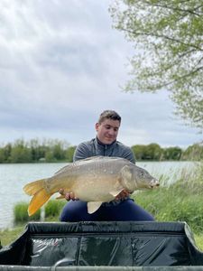 Mirror Carp