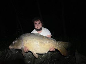 Leather Carp