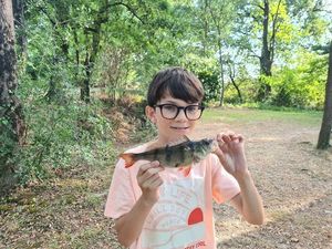 European Perch