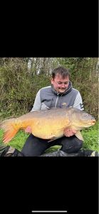 Mirror Carp