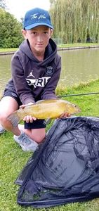 Tench